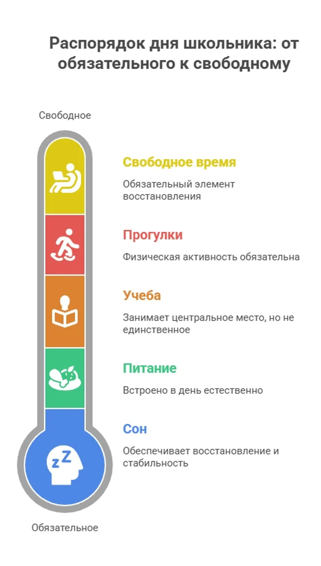 Из чего должен состоять распорядок дня школьника